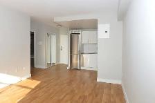 renovated one bedroom, river and gerrard - ID 162 - Photo 7