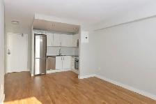 renovated one bedroom, river and gerrard - ID 162 - Photo 9