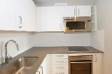 renovated one bedroom, river and gerrard - ID 162 - Photo 10