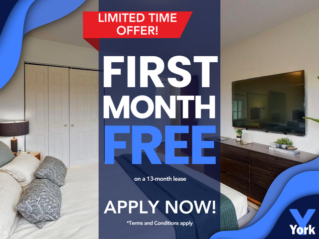 Junior One Bedroom Suite for Rent!