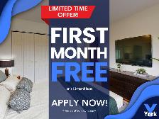 Junior One Bedroom Suite for Rent!