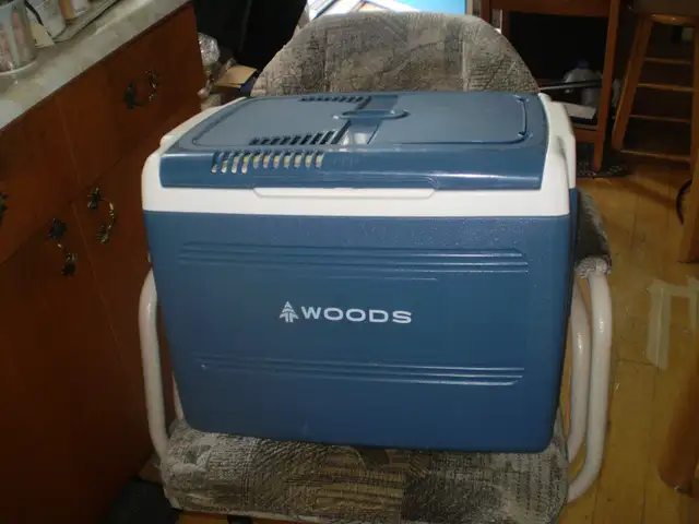 WOODS 12 VOLT COOLER-38 LITER-MADE IN EUROPE-USED- $75