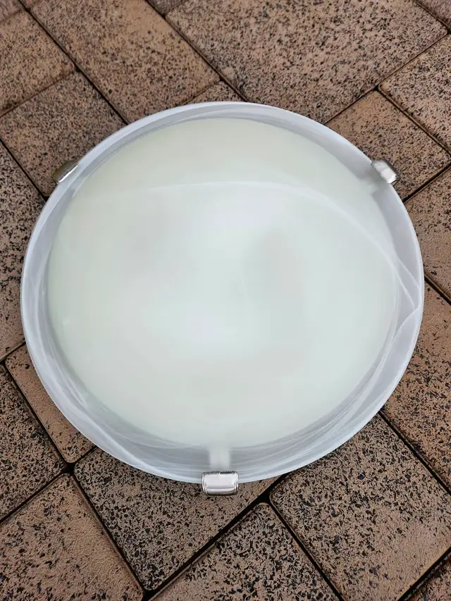 Flush Mount Ceiling Light Fixture