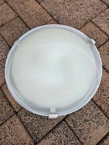 Flush Mount Ceiling Light Fixture