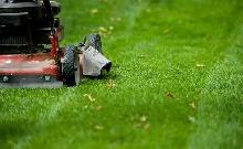Lawn Mowing Barrhaven