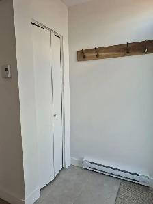 5 1/2 au Plateau  — Three (3) bedroom apartment in Plateau - Photo 3
