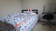 Room for Rent - Single Female only - Photo 3