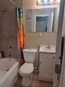Room for Rent - Single Female only - Photo 12