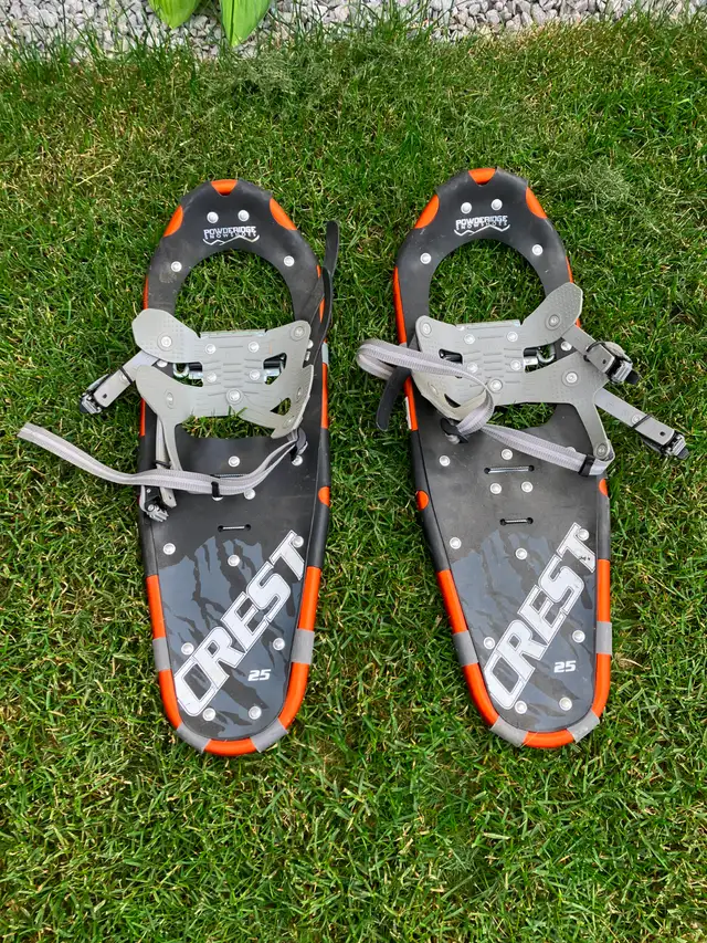 Free Snowshoes