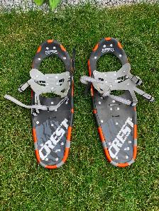 Free Snowshoes