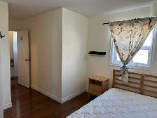 rooms for rent at York University village - Photo 5