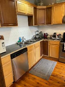 Downtown Furnished Two Bedroom (includes internet and water) - Photo 4