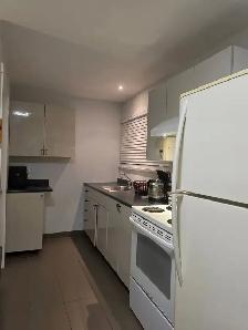 1 Bed 1 Bath Apartment - Photo 4