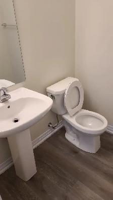 1 new bedroom   parking for rent - Stony creek Hamilton - Photo 6
