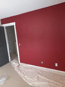 painter for hire - Photo 8