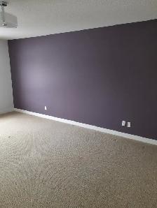 painter for hire - Photo 9