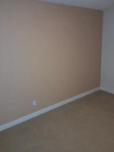 painter for hire - Photo 10