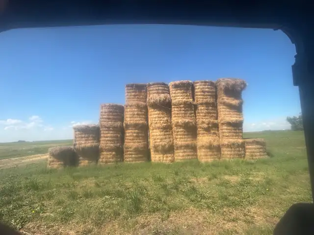 Free Bales