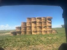 Free Bales