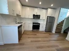2 Bed 1 Bath Lower Duplex Suite For Rent InSir John Franklin - Photo 3