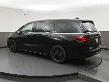 2025 Honda Odyssey BLACK EDITION AWD | VENTILATED SEATS | APPLE - Photo 35
