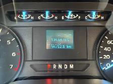 2019 Ford F-150 XL Extended Cab Pickup With Aluminum Cap & Barn - Photo 28