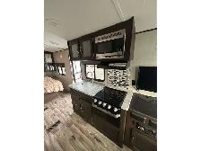 2019 Springdale 202RD 20th Anniversary Edition - Photo 5