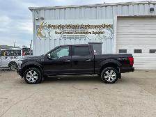 2019 Ford F-150 Platinum Crew Cab 3.5L V6 | Command Start | Heat - Photo 8