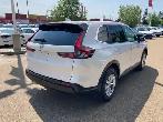 2025 Honda CR-V LX AWD - Photo 2