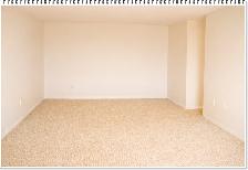 Well Kept 1 Bedroom Apartment – 1600 Adelaide, Move in Incentive - Photo 5