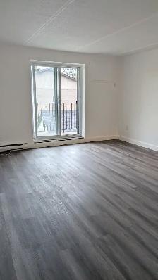 Apartments for rent - Photo 2