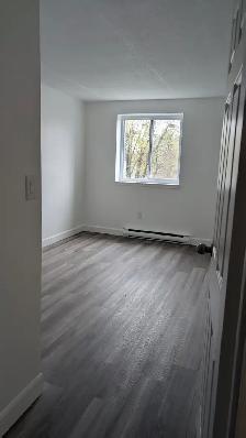 Apartments for rent - Photo 3