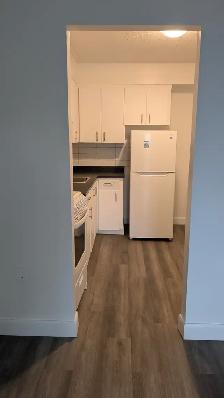 Apartments for rent - Photo 4