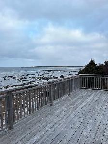 3 Bedroom, 2 Bathroom, Waterfront Home! - Photo 7