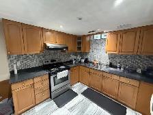 Basement room for rent