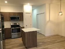 3 Bed 2 Bath Upper Duplex Suite In Seven Oaks - Photo 5
