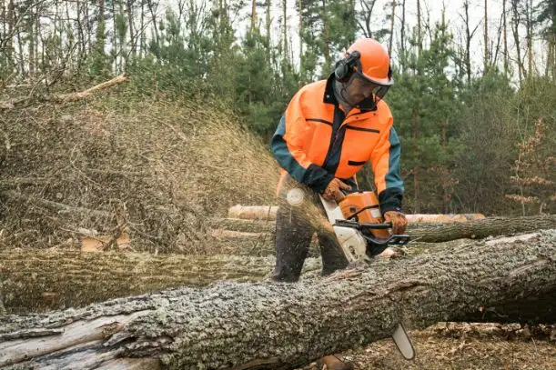 Bois de chauffage a donner a St-Christine