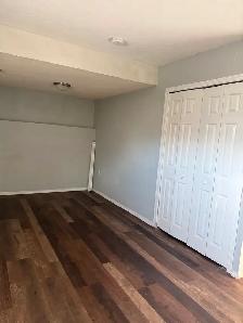 2 Bedroom Legal Basement Suite By Transit, Park and School NE - Photo 8