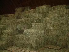 Small Grass Hay Bales