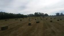 Small Grass Hay Bales - Photo 2
