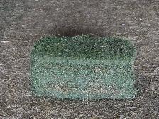 Small Grass Hay Bales - Photo 3
