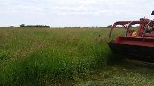 Small Grass Hay Bales - Photo 4