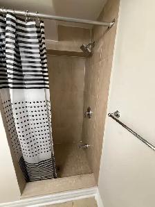 Private One bedroom basement apt for rent from August 1st - Photo 8