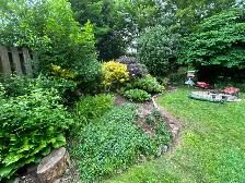 Yard, Patio and Exterior Services: Summer Outdoor Living Refresh - Photo 4