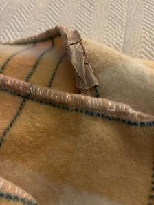 Vintage 100% Wool Blanket - Photo 4