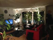 Chambre a louer dans maison de campagne - Photo 6