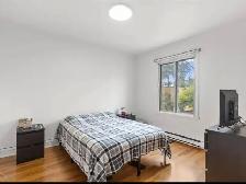 Super appartement 5½ à louer au coeur de Villeray! - Photo 4