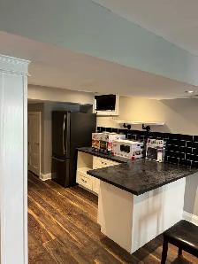 Basement for Rent (Newmarket/Aurora) - Photo 2