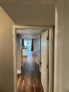Basement for Rent (Newmarket/Aurora) - Photo 4