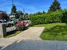 $2,100 / 2br -  Ground level Garden suite, Utilities Included - Photo 3